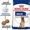 Royal Canin (Роял Канін) Maxi Adult 5+ - Сухий корм для собак великих порід старше 5 років 4 кг, фото 3