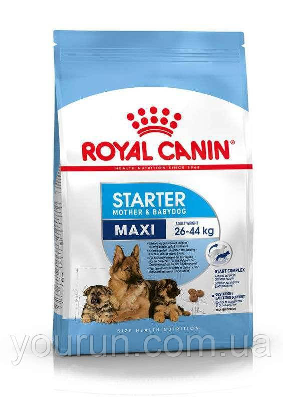 Royal Canin (Роял Канін) Maxi Starter - Сухий корм для цуценят великих порід 15 кг