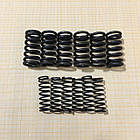 Пружини натискного диска комплект 12 шт висота 43 мм
