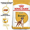 Royal Canin (Роял Канін) Boxer - Сухий корм для боксерів 12 кг, фото 2