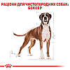 Royal Canin (Роял Канін) Boxer - Сухий корм для боксерів 12 кг, фото 5