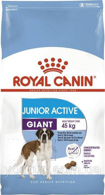 Royal Canin Giant Junior Active-Корм для цуценят гігантських порід з високими енергетичними потребами 15кг