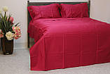 Комплект постільної білизни 200х230 бордовий Fast Coror 19676, фото 2