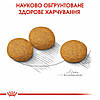 Royal Canin (Роял Канін) Medium Dermacomfort – Сухий корм для собак середніх порід з чутливою шкірою 3 кг, фото 5