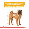 Royal Canin (Роял Канін) Medium Dermacomfort – Сухий корм для собак середніх порід з чутливою шкірою 3 кг, фото 4