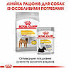 Royal Canin (Роял Канін) Medium Dermacomfort – Сухий корм для собак середніх порід з чутливою шкірою 3 кг, фото 9
