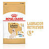 Royal Canin (Роял Канін) Labrador Retriever Adult 5+ - Сухий корм для лабрадорів старше 5 років 12 кг, фото 2