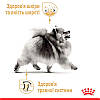 Royal Canin (Роял Канін) Pomeranian Adult – Сухий корм для дорослих собак породи померанський шпіц 500 гр, фото 6