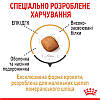 Royal Canin (Роял Канін) Pomeranian Adult – Сухий корм для дорослих собак породи померанський шпіц 500 гр, фото 5