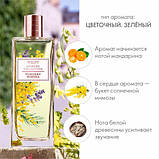 Туалетна вода Women´s Collection Powdery Mimosa [Віменс Колекшн Паудері Мімозе] від Оріфлейм, фото 2