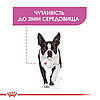 Royal Canin (Роял Канін) Mini Relax Care - Сухий корм для собак схильних до стресових факторів 1 кг, фото 4