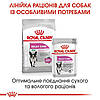 Royal Canin (Роял Канін) Mini Relax Care - Сухий корм для собак схильних до стресових факторів 1 кг, фото 9