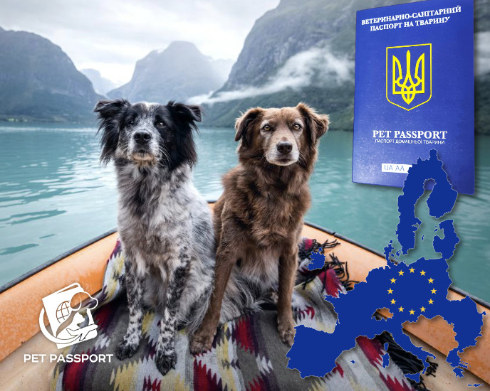Консультация по перевозке кошек и собак в Австрию. Правила перевозки животных в Австрию Европейский сертификат - фото 1 - id-p1794780941