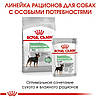Royal Canin (Роял Канін) Mini Digestive Care-Сухий корм для собак малих порід з чутливим травленням 1кг, фото 5