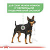 Royal Canin (Роял Канін) Mini Digestive Care-Сухий корм для собак малих порід з чутливим травленням 1кг, фото 8
