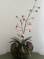 Икусственная дикая орхидая на дереве.
