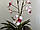 Штучна дика орхідея на дереві., фото 2
