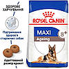 Royal Canin (Роял Канін) Maxi Ageing 8+ - Сухий корм для собак великих порід старше 8 років 3 кг, фото 2