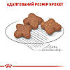 Royal Canin (Роял Канін) Mini Adult 8+ - Сухий корм для собак малих порід старше 8 років 800 гр, фото 5
