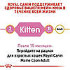 Royal Canin (Роял Канін) Kitten Maine Coon - Сухий корм для кошенят породи породи Мейн Кун 4 кг, фото 3