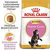 Royal Canin (Роял Канін) Kitten Maine Coon - Сухий корм для кошенят породи породи Мейн Кун 4 кг, фото 2