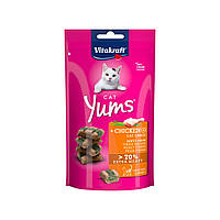 Лакомство для кошек Vitakraft Yums с курицей и кошачьей мятой 40 г