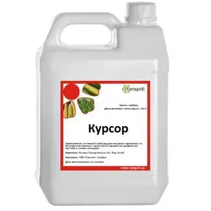Фунгіцид Курсор Ранголі 5 л, фото 2