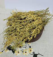 Лабазник трава, таволга (Filipendula ulmaria herba) 1 кг
