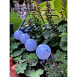 Світильник садовий на сонячних батареях Bass Polska BH 12781, фото 10