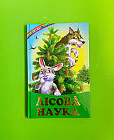 Лісова наука, Веселка, Белкар