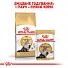 Royal Canin (Роял Канін) Persian Adult - Сухий корм для дорослих кішок Перської породи 4 кг, фото 8