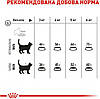 Royal Canin Oral Care-Сухий корм для кішок, профілактика утворення зубного нальоту та зубного каменю 3.5 кг, фото 7