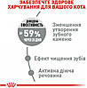 Royal Canin Oral Care-Сухий корм для кішок, профілактика утворення зубного нальоту та зубного каменю 3.5 кг, фото 4