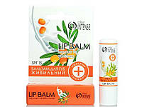 Бальзам д/губ живільний Молоко та Обліпиха LIP BALM Healthy Therapy 04 5g ТМ Co "Ax"