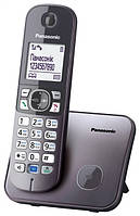 Радіотелефон DECT Panasonic KX-TG6811UAM, Metallic