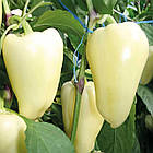 Перець солодкий Хаскі F1 Enza Zaden/Нідерланди 8 шт, фото 2