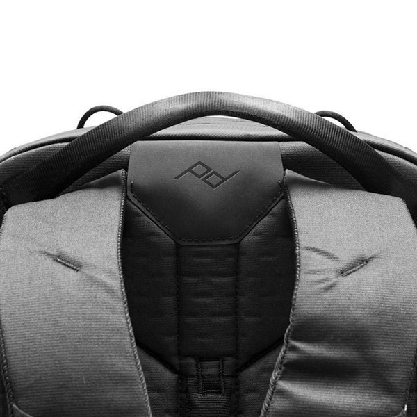 Peak design travel cheap backpack sage