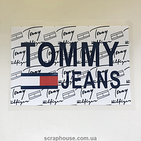 Термоаппликация, наклейка на одежду біла TOMMY JEANS 18х12 см