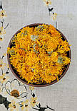 Календула квіти (Calendulae flores)  50 г, фото 3