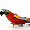 Літаючий папуга електромеханічна іграшка для ваших котиків і дітей. Іграшки для собак, фото 8