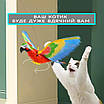 Літаючий папуга електромеханічна іграшка для ваших котиків і дітей. Іграшки для собак, фото 2