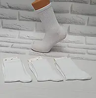 Шкарпетки чоловічі білі високі спортивні