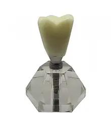 Модель демонстраційна імплантат HST T19-01