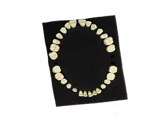 Зуби змінні комплект HST-D6 для HST-A5-01 32 шт.