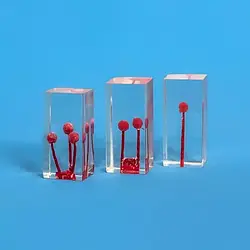 Ендоблок тренувальний, пофарбований із гранульованою, комплект 3 шт HTS-N4