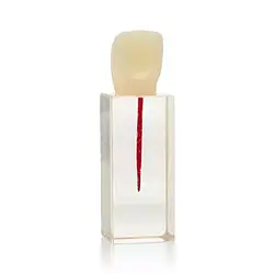 Ендоблок тренувальний (різець, один канал) HST-N5/1