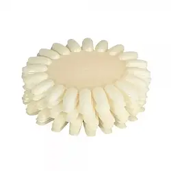 Палітра — соняшник для лаків на 20 кольорів біла 10 шт.