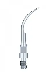 Насадка для скалера GS1