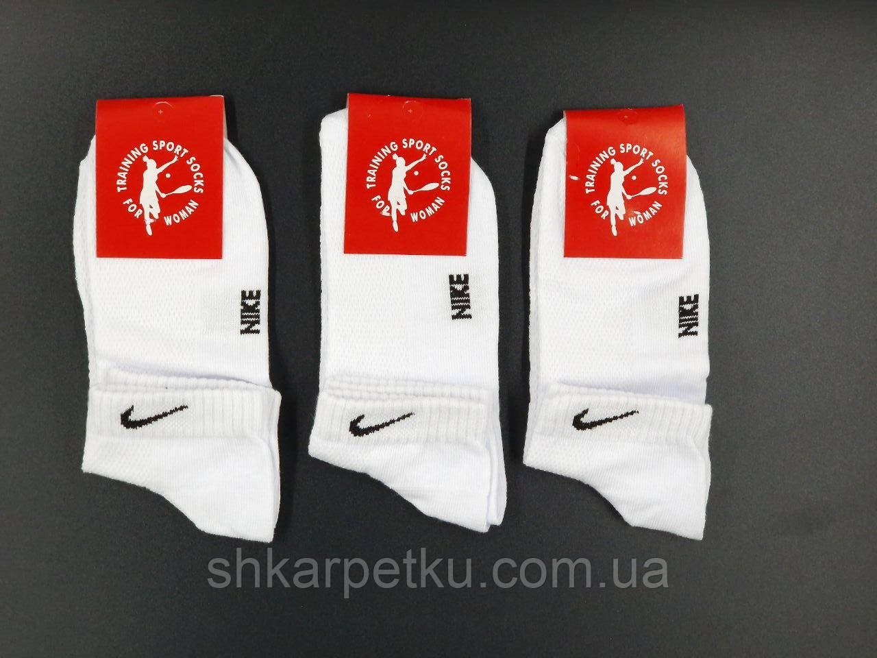 Жіночі шкарпетки стрейчеві Sport Socks "N" білі бавовна сітка короткі розмір 36-39 12 паруп