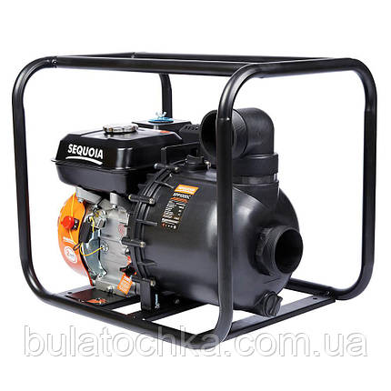 SEQUOIA SPP1000C, фото 1